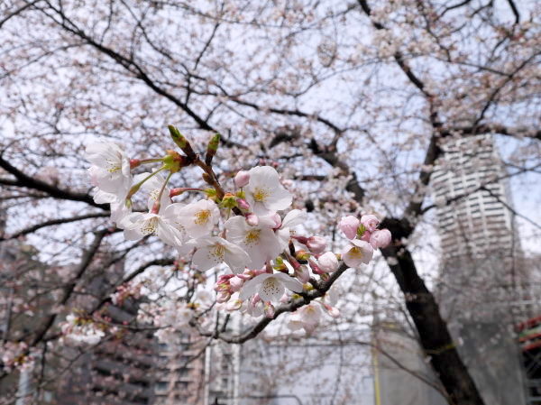 b0282061_2231721.jpg