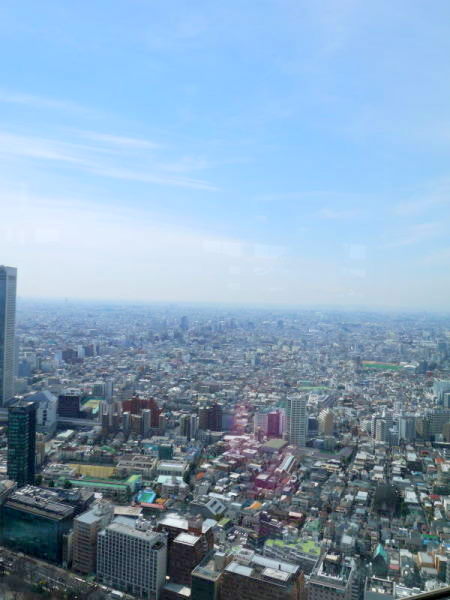 b0282061_22323939.jpg