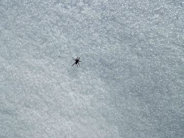 b0079965_6103969.jpg