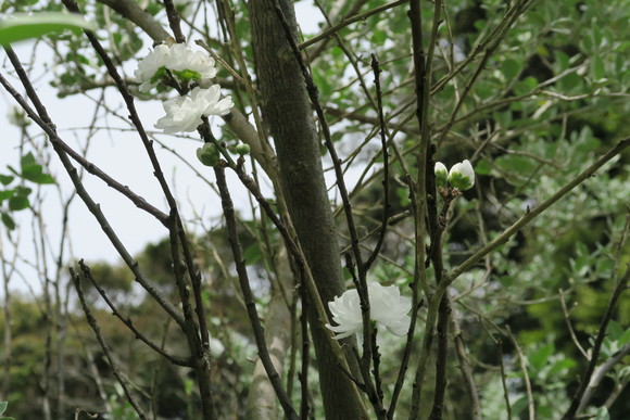 e0292172_20415821.jpg