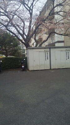 d0177473_16485024.jpg