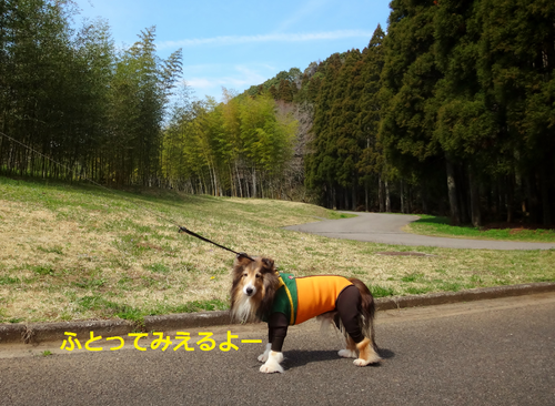 a0157174_1935488.png