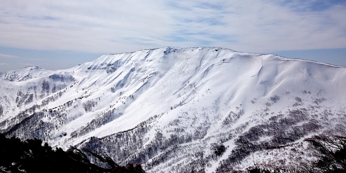 f0170180_7264957.jpg