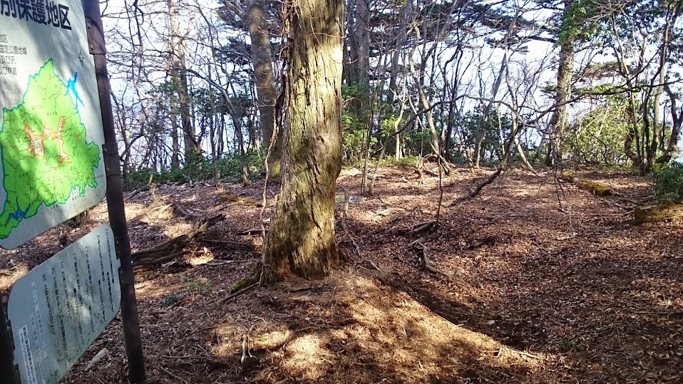 c0145582_192525100.jpg