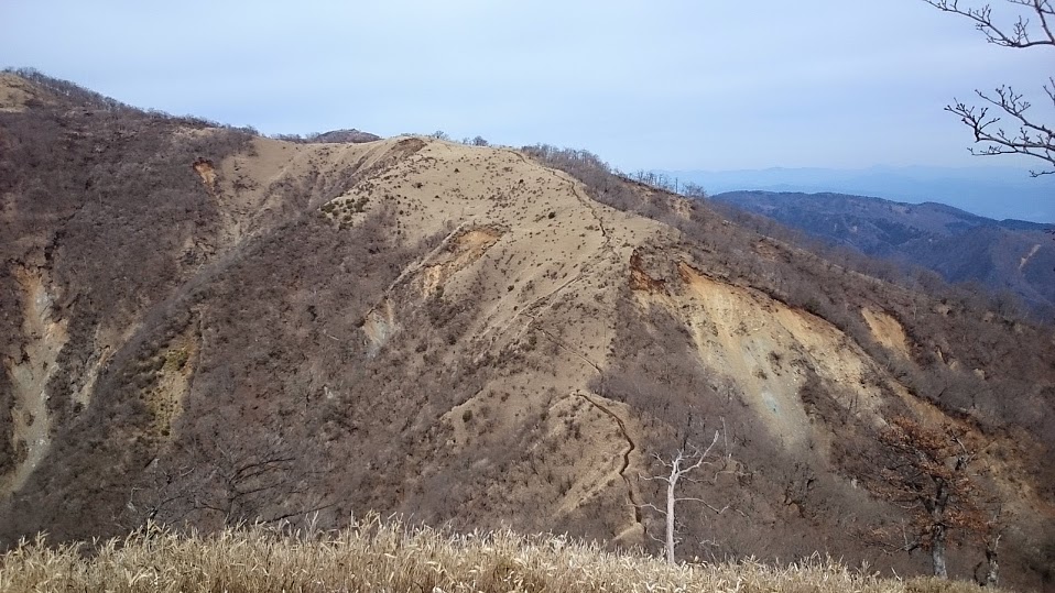 c0145582_1926131.jpg