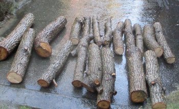 f0003283_10014287.jpg