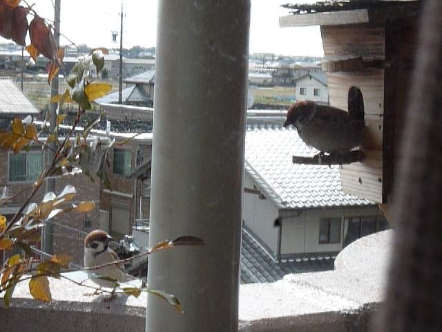 b0238886_21293068.jpg