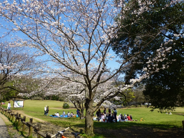 f0357487_6454997.jpg