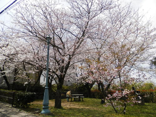 f0181793_1643035.jpg