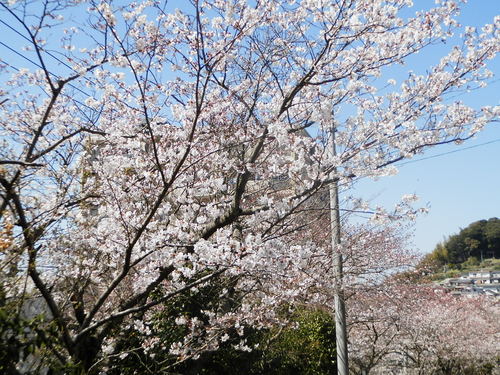 f0181793_1643167.jpg