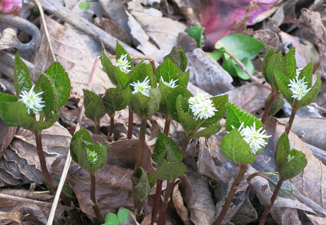 c0119197_133364.jpg