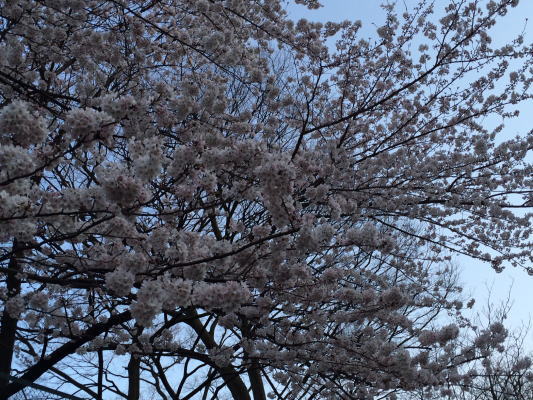 b0160300_22165610.jpg