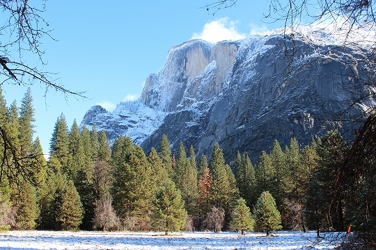 c0153302_15181183.jpg
