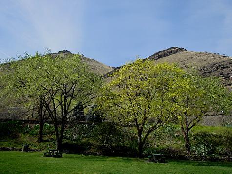 a0310405_02401506.jpg