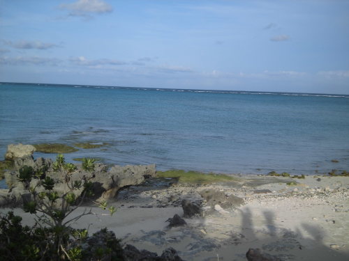 b0341209_02523668.jpg
