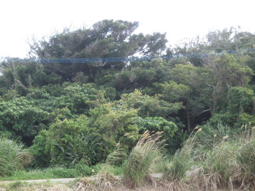 b0341209_03010756.jpg
