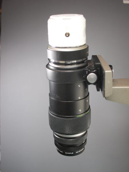 c0164709_21184631.jpg