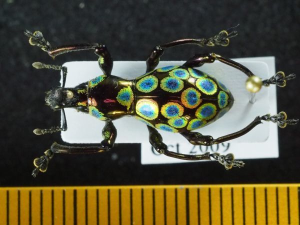 c0164709_21185238.jpg
