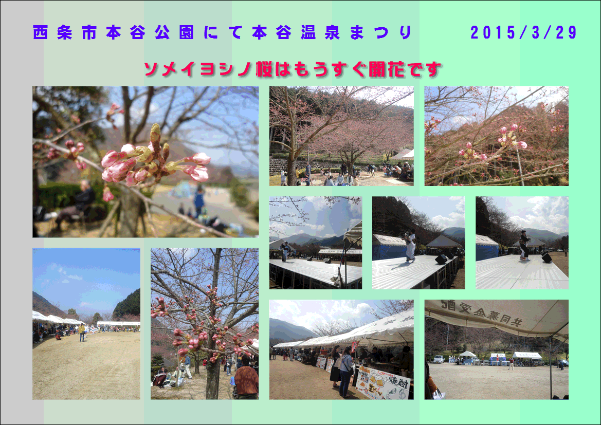 f0231709_10574199.gif