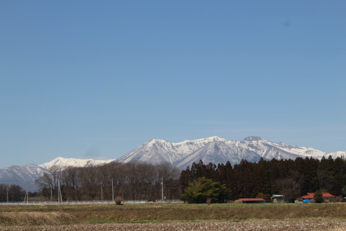 c0338613_22022711.jpg