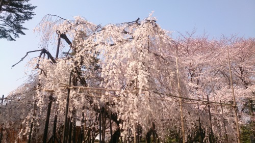 e0027813_18150414.jpg