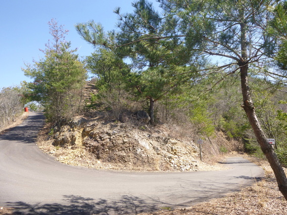 d0170615_9474993.jpg