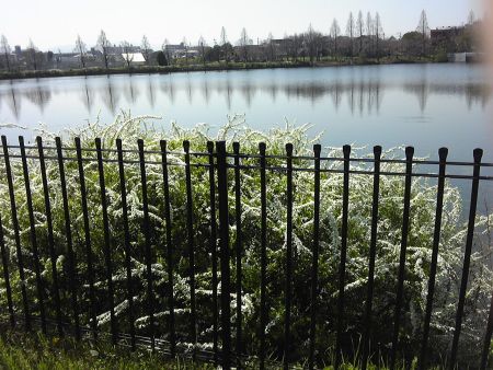 b0008217_1536577.jpg