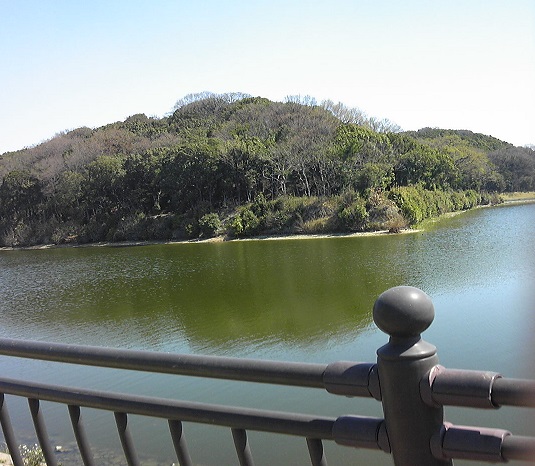 b0008217_1542404.jpg