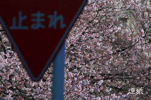 f0212217_09553345.jpg