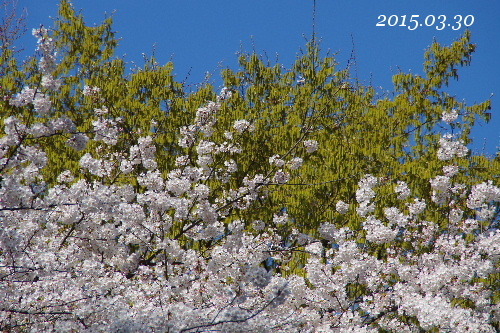 f0212217_09554897.jpg