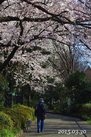 f0212217_10175549.jpg