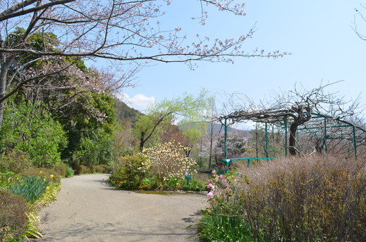 e0135518_1519591.jpg