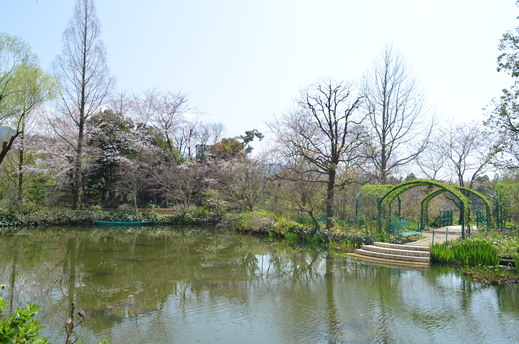 e0135518_15225649.jpg