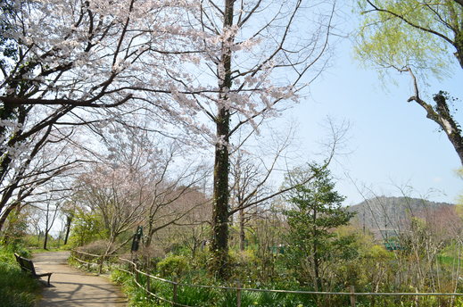 e0135518_152811.jpg