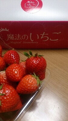b0204719_23252180.jpg