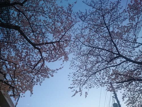 f0128821_211934.jpg