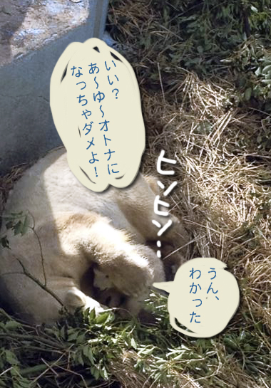 e0112226_19113899.jpg