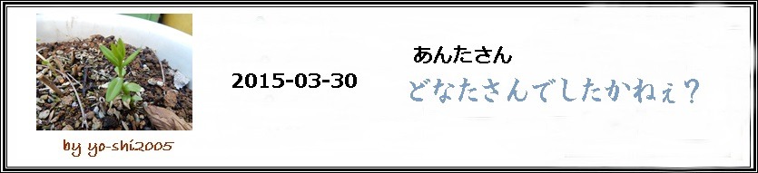 e0033229_1745542.jpg