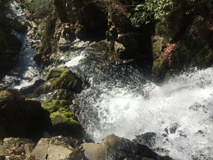 b0321833_23182350.jpg