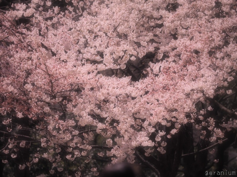 c0133533_2123190.jpg