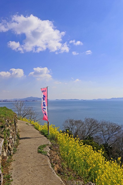 a0242438_2030549.jpg