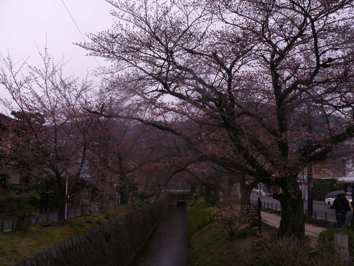 c0206742_16280444.jpg