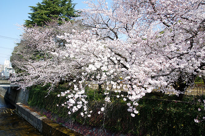 f0149442_21271471.jpg