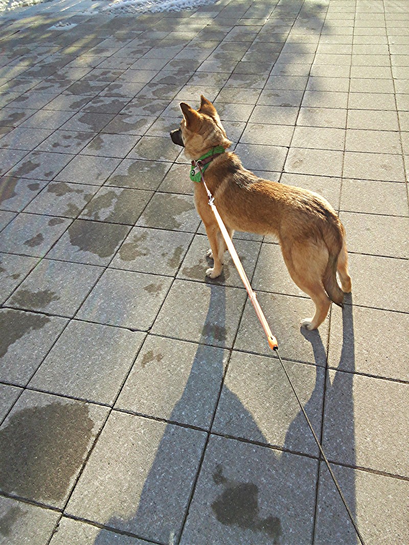 d0006253_22482927.jpg