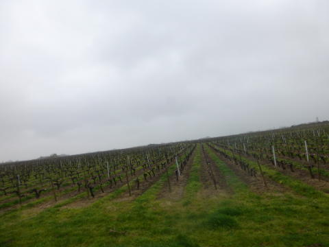 b0296855_23362407.jpg