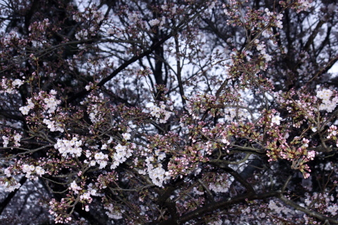 a0248459_19093637.jpg
