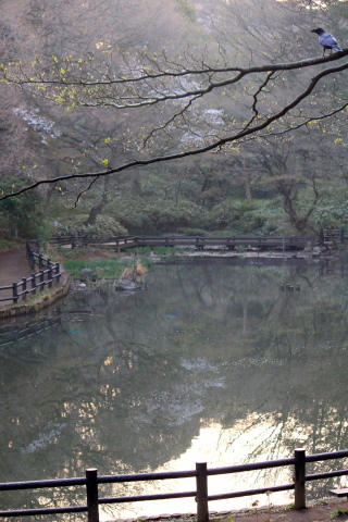 a0248459_19100529.jpg