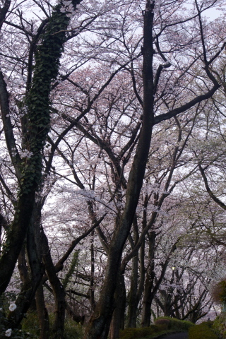 a0248459_19112751.jpg