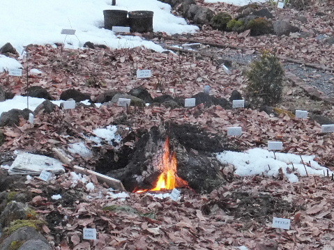 e0088260_10305440.jpg