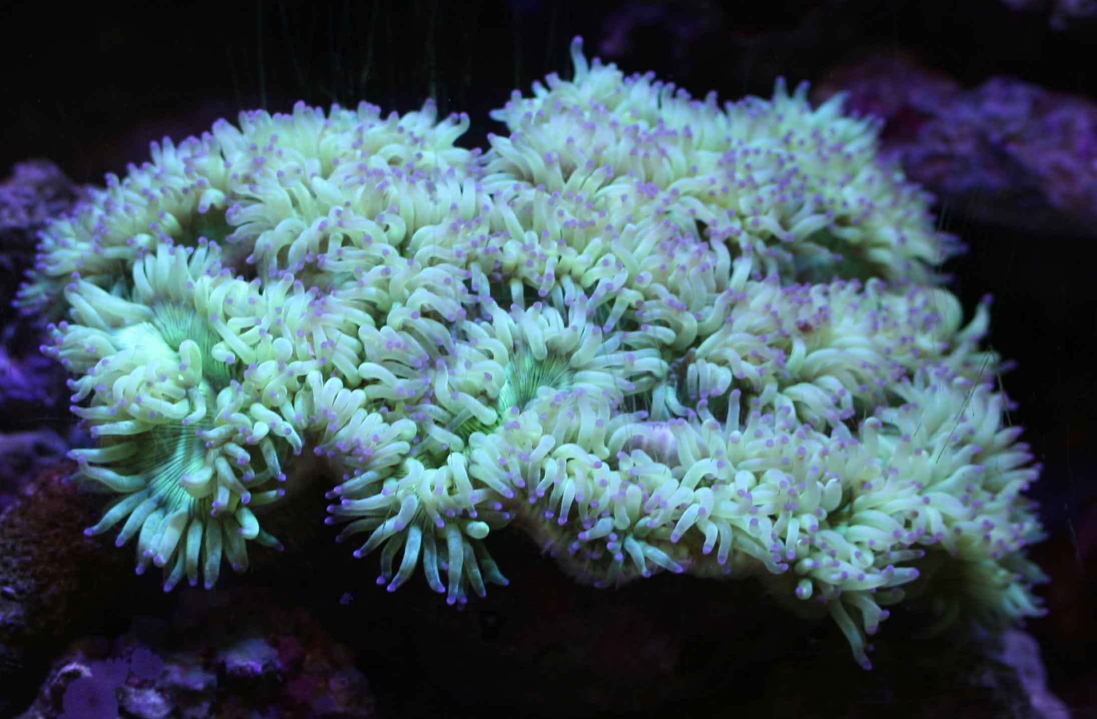 a0162261_19374015.jpg